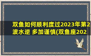 双鱼如何顺利度过2023年第2波水逆 多加谨慎(双鱼座2023年第2波水逆的应对：加强谨慎，把握机遇，迎接变化的洪流)